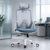 Web chair, supervisor chair, manager chair, boss chair, ergonomic office chair, ergonomic web chair, high-back ergonomic chair, ergonomic computer chair