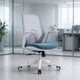 Web chair, employee chair, staff chair, meeting chair, guest chair, visitor chair, ergonomic office chair, ergonomic web chair, mid-back ergonomic chair, ergonomic computer chair